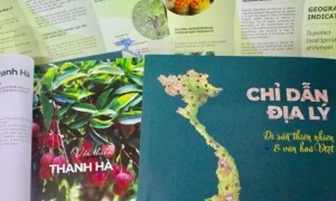 Các nhãn hiệu, chỉ dẫn địa lý được xử lý thế nào sau sắp xếp đơn vị hành chính?