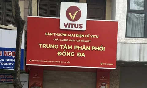 Vitus System: Sàn thương mại điện tử không phép và câu hỏi về trách nhiệm quản lý?