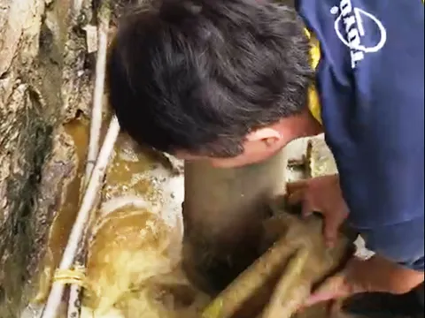 Đình chỉ cơ sở sản xuất bột giấy xả thải gây ô nhiễm