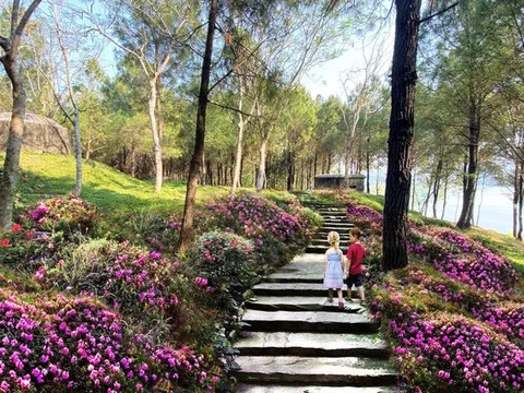 Chỉnh trang đồi Vọng Cảnh thành điểm đến du lịch tuyệt đẹp