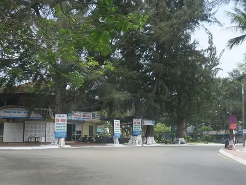 Hải Phòng thí điểm phố đi bộ tại Đồ Sơn