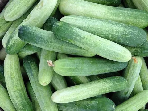 Điều gì sẽ xảy ra với cơ thể khi bạn ăn dưa chuột?