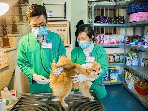Bộ Tài chính ban hành thông tư giảm 50% phí dịch vụ thú y