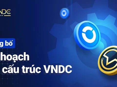 VNDC Wallet tái cấu trúc sau hơn 18 tháng