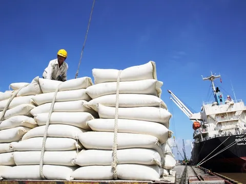 Xuất khẩu gạo Việt Nam được dự báo tiếp tục đứng ở vị trí thứ 2
