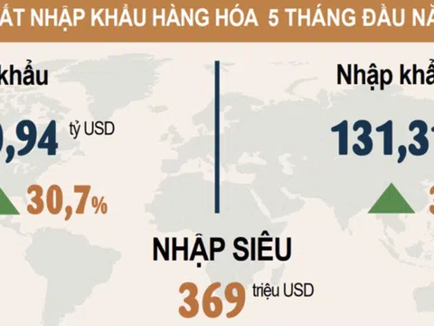 Xuất nhập khẩu hàng hóa Việt Nam vẫn tăng bất chấp dịch Covid-19