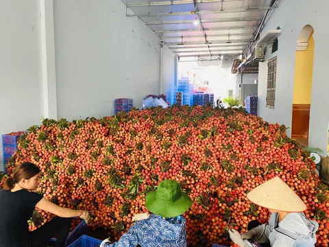Triển khai 5 điểm hỗ trợ, tiêu thụ nông sản Việt tại Hà Nội