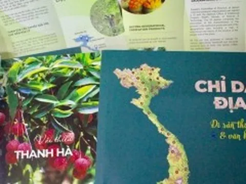 Các nhãn hiệu, chỉ dẫn địa lý được xử lý thế nào sau sắp xếp đơn vị hành chính?