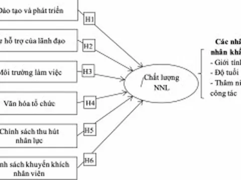 Các yếu tố ảnh hưởng đến chất lượng nguồn nhân lực của Công ty Cổ phần thực phẩm và nước giải khát Nam Việt
